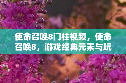 使命召唤8门柱视频，使命召唤8，游戏经典元素与玩法探秘