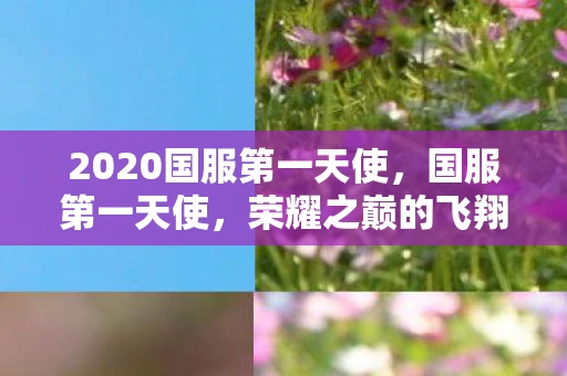 2020国服第一天使，国服第一天使，荣耀之巅的飞翔之旅