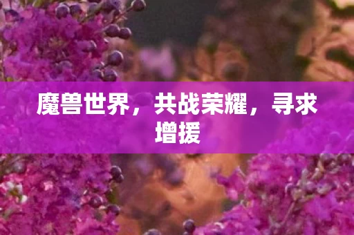 魔兽世界图片