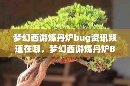 梦幻西游炼丹炉bug资讯频道在哪,梦幻西游炼丹炉Bug资讯频道 梦幻西游炼丹炉bug资讯频道在哪,梦幻西游炼丹炉Bug资讯频道