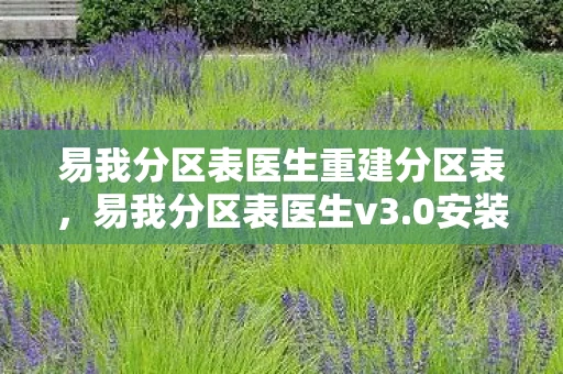 易我分区表医生重建分区表,易我分区表医生v3.0安装教程 易我分区表医生重建分区表,易我分区表医生v3.0安装教程
