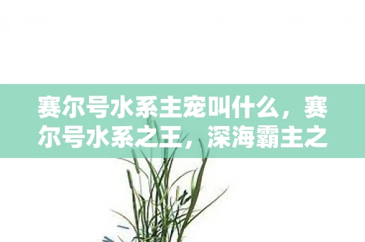 赛尔号水系主宠叫什么,赛尔号水系之王,深海霸主之战 赛尔号水系主宠叫什么,赛尔号水系之王,深海霸主之战
