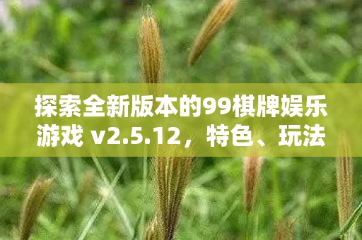 探索全新版本的99棋牌娱乐游戏 v2.5.12，特色、玩法与下载指南