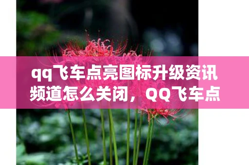 qq飞车点亮图标升级资讯频道怎么关闭,QQ飞车点亮图标升级资讯频道 qq飞车点亮图标升级资讯频道怎么关闭,QQ飞车点亮图标升级资讯频道