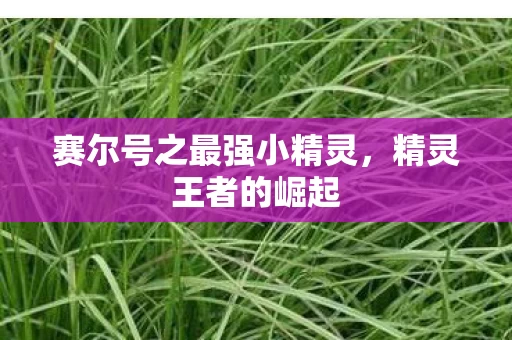 赛尔号之最强小精灵图片