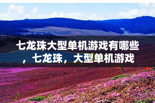 七龙珠大型单机游戏有哪些，七龙珠，大型单机游戏
