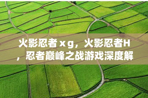 火影忍者ⅹg,火影忍者H,忍者巅峰之战游戏深度解析与建议 火影忍者ⅹg,火影忍者H,忍者巅峰之战游戏深度解析与建议