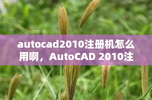 autocad2010注册机怎么用啊,AutoCAD 2010注册机安装教程 autocad2010注册机怎么用啊,AutoCAD 2010注册机安装教程