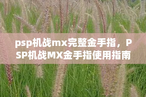 psp机战mx完整金手指，PSP机战MX金手指使用指南