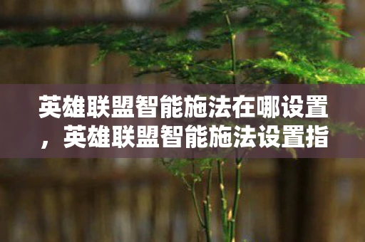英雄联盟智能施法在哪设置，英雄联盟智能施法设置指南
