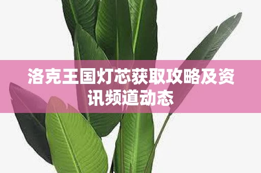 洛克王国灯芯获取攻略及资讯频道动态图片
