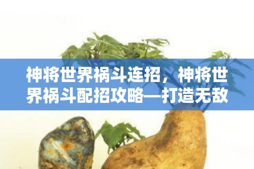 神将世界祸斗连招，神将世界祸斗配招攻略—打造无敌战斗组合