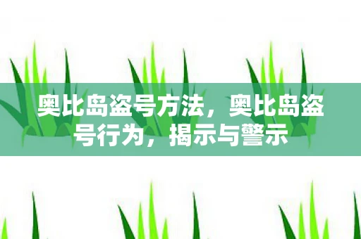 奥比岛盗号方法，奥比岛盗号行为，揭示与警示