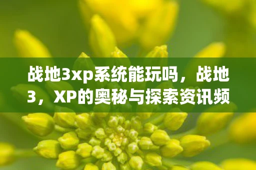 战地3xp系统能玩吗,战地3,XP的奥秘与探索资讯频道—解锁你的游戏进阶之路 战地3xp系统能玩吗,战地3,XP的奥秘与探索资讯频道—解锁你的游戏进阶之路