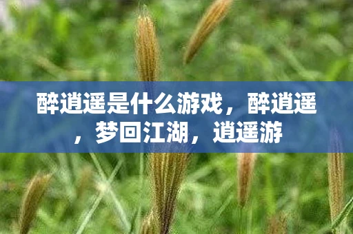 醉逍遥是什么游戏，醉逍遥，梦回江湖，逍遥游