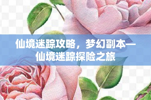 仙境迷踪攻略,梦幻副本—仙境迷踪探险之旅 仙境迷踪攻略,梦幻副本—仙境迷踪探险之旅