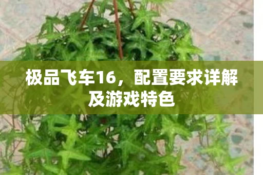 配置要求详解及游戏特色图片