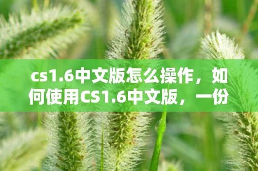 cs1.6中文版怎么操作,如何使用CS1.6中文版,一份详尽的指南 cs1.6中文版怎么操作,如何使用CS1.6中文版,一份详尽的指南