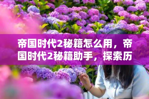 帝国时代2秘籍怎么用,帝国时代2秘籍助手,探索历史战役,征服传奇世界 帝国时代2秘籍怎么用,帝国时代2秘籍助手,探索历史战役,征服传奇世界