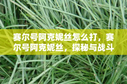 赛尔号阿克妮丝怎么打,赛尔号阿克妮丝,探秘与战斗的终极体验 赛尔号阿克妮丝怎么打,赛尔号阿克妮丝,探秘与战斗的终极体验