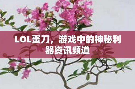 游戏中的神秘利器资讯频道图片