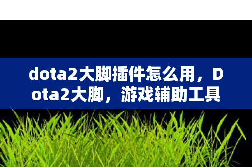 dota2大脚插件怎么用,Dota2大脚,游戏辅助工具悉数登场 dota2大脚插件怎么用,Dota2大脚,游戏辅助工具悉数登场
