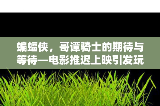电影推迟上映引发玩家热议图片