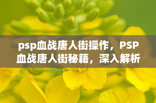 psp血战唐人街操作，PSP血战唐人街秘籍，深入解析游戏技巧与攻略
