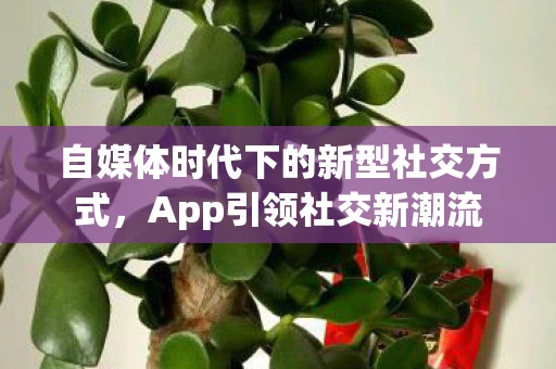 自媒体时代下的新型社交方式，App引领社交新潮流