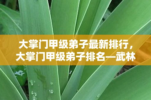 大掌门甲级弟子最新排行，大掌门甲级弟子排名—武林新秀的荣耀榜单