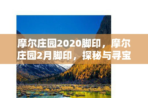 摩尔庄园2020脚印，摩尔庄园2月脚印，探秘与寻宝的奇幻之旅