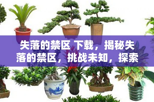 失落的禁区 下载，揭秘失落的禁区，挑战未知，探索无界