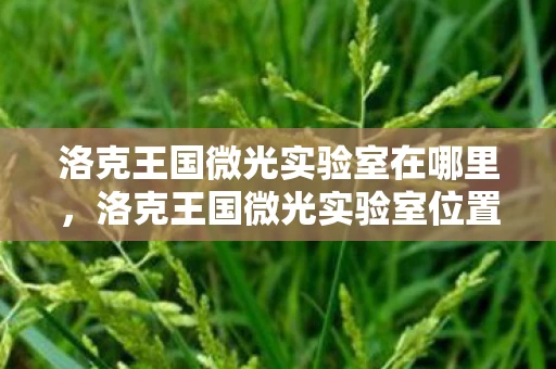 洛克王国微光实验室在哪里，洛克王国微光实验室位置详解