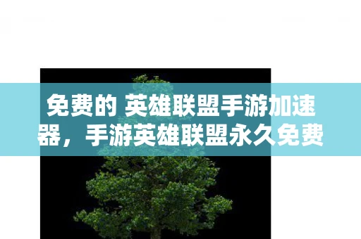 免费的 英雄联盟手游加速器，手游英雄联盟永久免费加速器，助力你的游戏之路