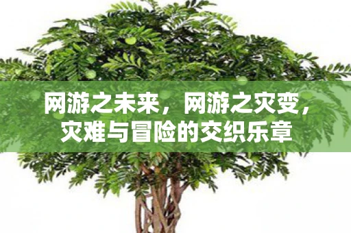 网游之未来，网游之灾变，灾难与冒险的交织乐章