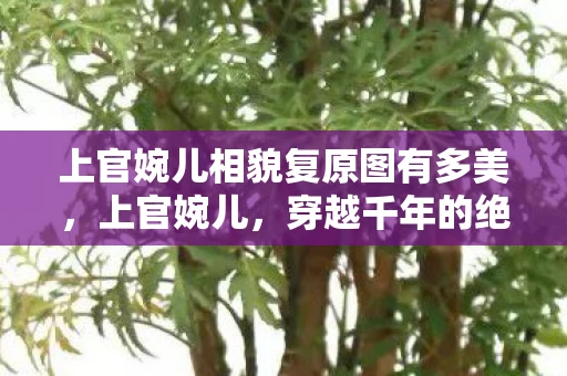 上官婉儿相貌复原图有多美，上官婉儿，穿越千年的绝代风华—相貌复原图揭秘