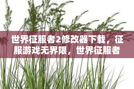 世界征服者2修改器下载，征服游戏无界限，世界征服者2修改器全解析