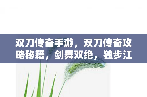 双刀传奇手游，双刀传奇攻略秘籍，剑舞双绝，独步江湖