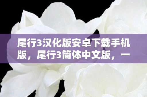 尾行3汉化版安卓下载手机版，尾行3简体中文版，一款引人入胜的赛车游戏