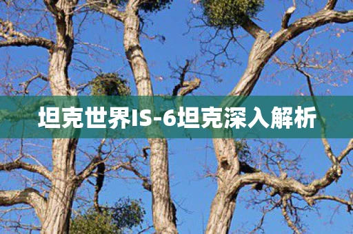 坦克世界IS-6坦克深入解析