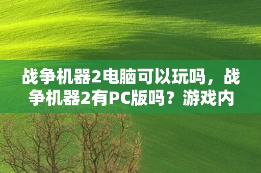 战争机器2电脑可以玩吗，战争机器2有PC版吗？游戏内容与玩家的共同期待