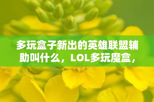多玩盒子新出的英雄联盟辅助叫什么，LOL多玩魔盒，游戏辅助工具的深度解析