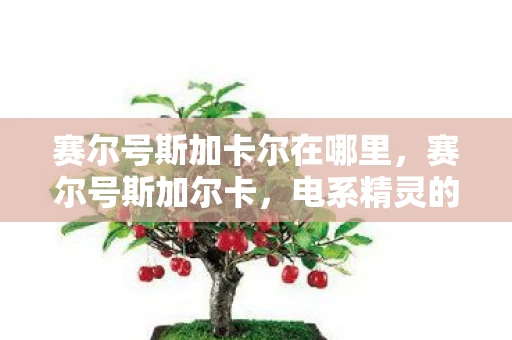 赛尔号斯加卡尔在哪里，赛尔号斯加尔卡，电系精灵的荣耀与挑战