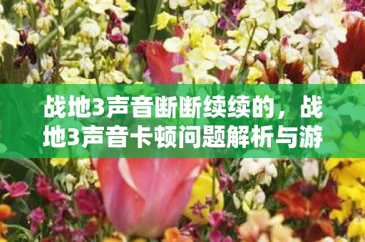 战地3声音断断续续的，战地3声音卡顿问题解析与游戏体验探讨