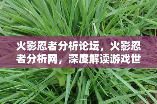 火影忍者分析论坛，火影忍者分析网，深度解读游戏世界的忍者之道