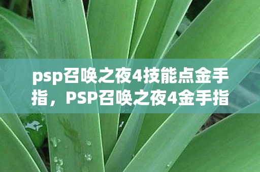 psp召唤之夜4技能点金手指，PSP召唤之夜4金手指攻略与深度解析