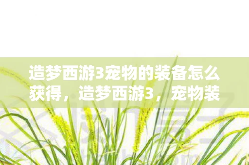 造梦西游3宠物的装备怎么获得，造梦西游3，宠物装备获取攻略