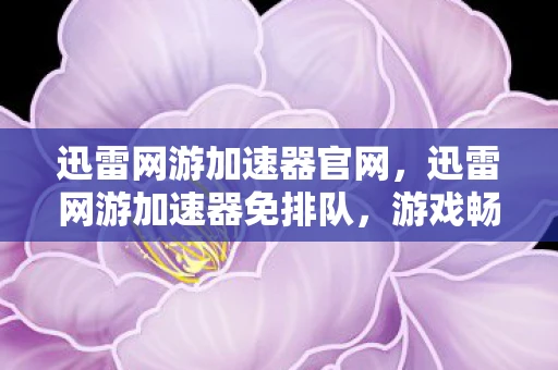 迅雷网游加速器官网，迅雷网游加速器免排队，游戏畅快体验的秘密武器