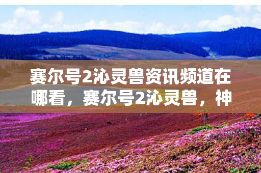 赛尔号2沁灵兽资讯频道在哪看，赛尔号2沁灵兽，神秘生物的新篇章