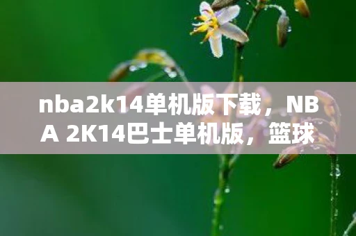 nba2k14单机版下载，NBA 2K14巴士单机版，篮球游戏的传奇之作